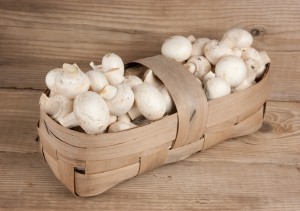 mushrooms_oncology news australia_cancer research news_800x500
