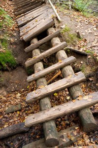 pathway concept_oncology news australia_800x1200