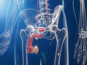 prostate cancer_oncology news australia
