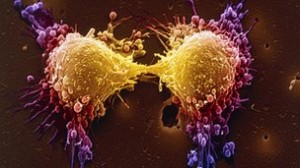 prostate sex life bbc