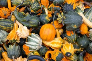 pumpkins vegetables beta ceratine_oncology news australia