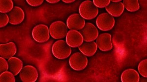 red blood cells_oncology news australia