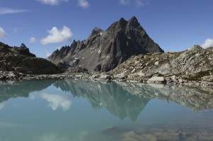 reflections concept_oncology news australia_800x500