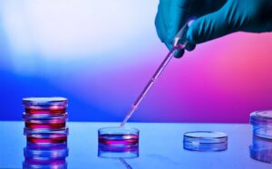 research petri oncology news australia_800x500