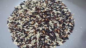 rice_oncology news australia