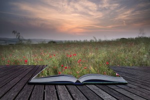 Creative concept pages of book Poppy field landscape in Summer c
