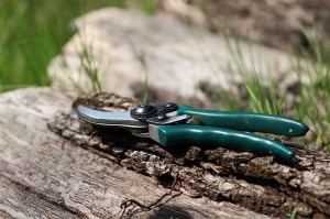 shears gardening_oncology news australia