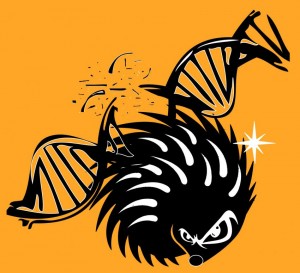 sonichedgehog DNA
