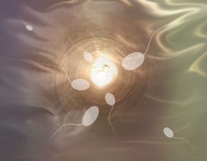 sperm fertility concept_oncology news australia