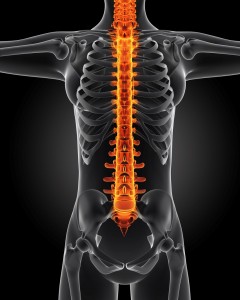 spine_oncology news australia