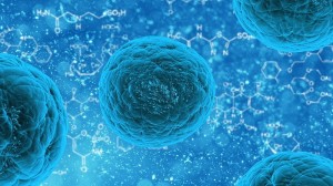 stem cell concept_oncology news australia