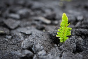 survivorship concept_oncology news australia