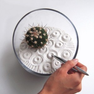 terranium_microenvironment concept_oncology news australia