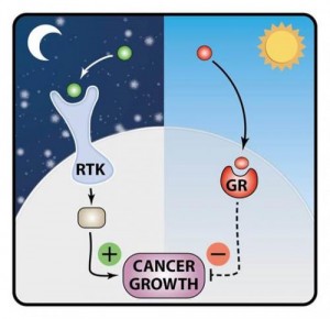 tumorsmightg_oncology news australia