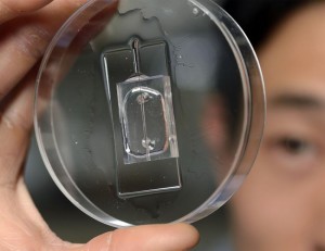 viewing cancer lab chip oncology news australia_johns hopkins