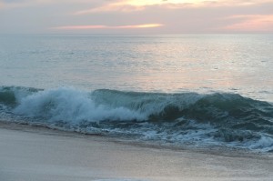 waves_oncology news australia_800x500
